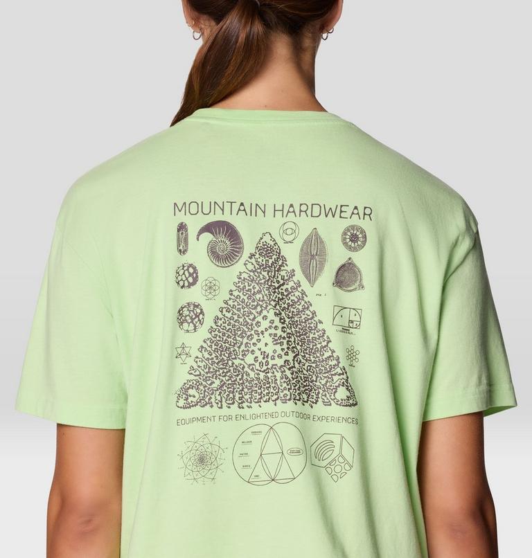 Women's Wild Structure Boxy Crop, Color: Frozen In Lime, image 5