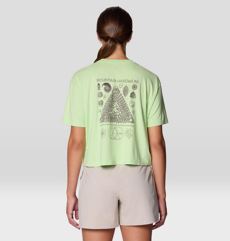 Women's Wild Structure Boxy Crop, Color: Frozen In Lime, image 2