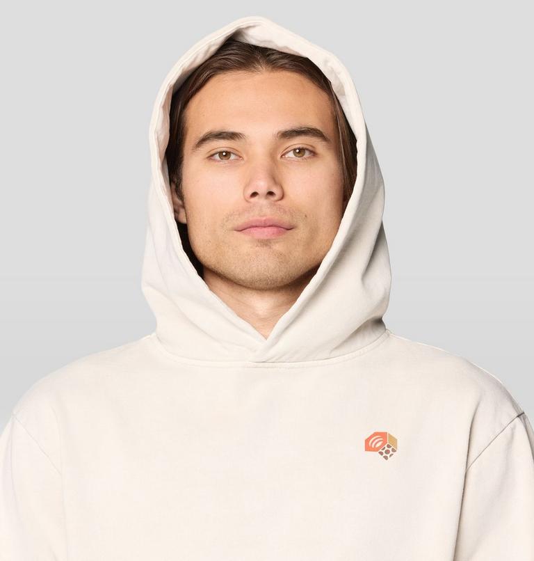 Men's Tri-Color Logo Garment Dyed Hoody, Color: Fossil, image 5