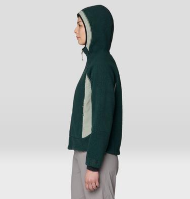 Women's Deep Drift Fleece Hoody, Color: Verve, image 7
