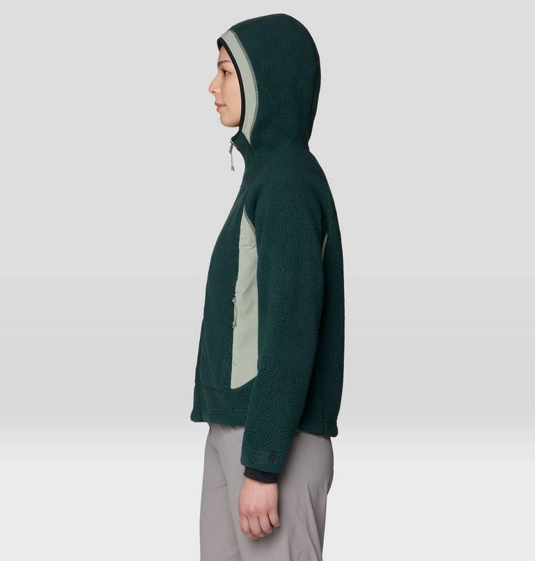 Women's Deep Drift Fleece Hoody, Color: Verve, image 3