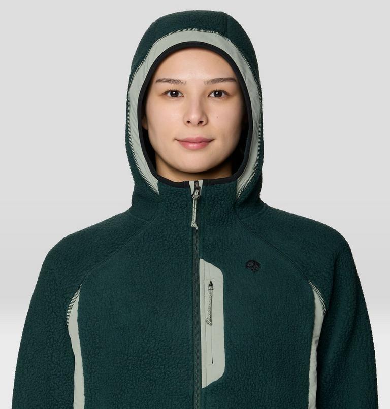 Women's Deep Drift Fleece Hoody, Color: Verve, image 4