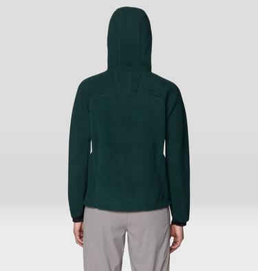 Women's Deep Drift Fleece Hoody, Color: Verve, image 4