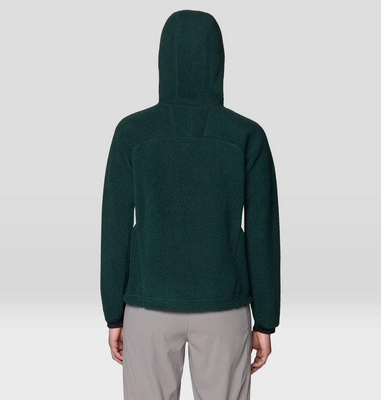 Women's Deep Drift Fleece Hoody, Color: Verve, image 2