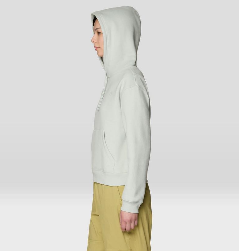 Women's MHW Logo Pullover Hoody, Color: Gamma Grey, image 3