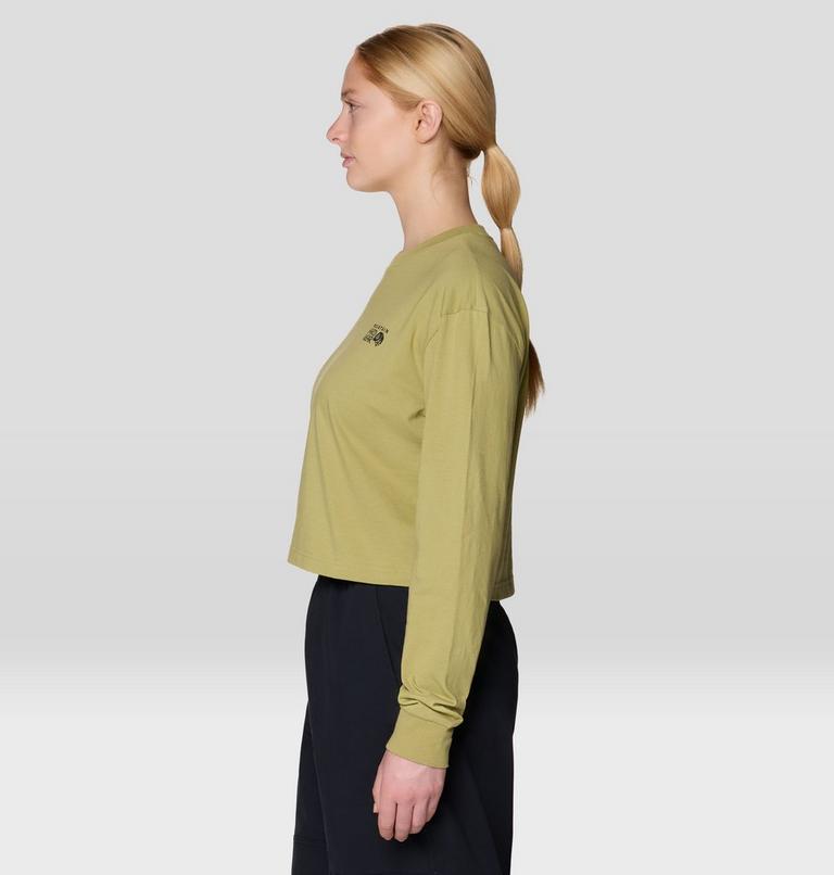 Women's MHW Box Logo Crop LS, Color: Forest Moss, image 3