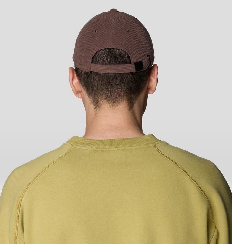 Cordoroy Dad Cap, Color: Carob, image 2