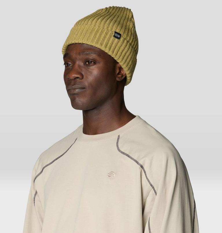 Lone Pine Beanie, Color: Forest Moss, image 4