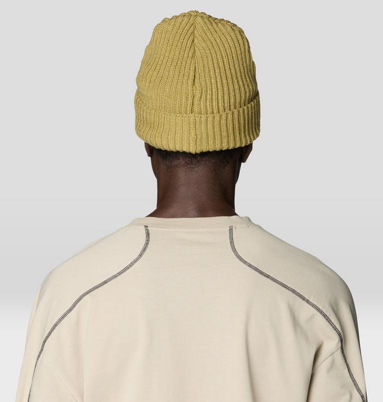 Lone Pine Beanie, Color: Forest Moss, image 3