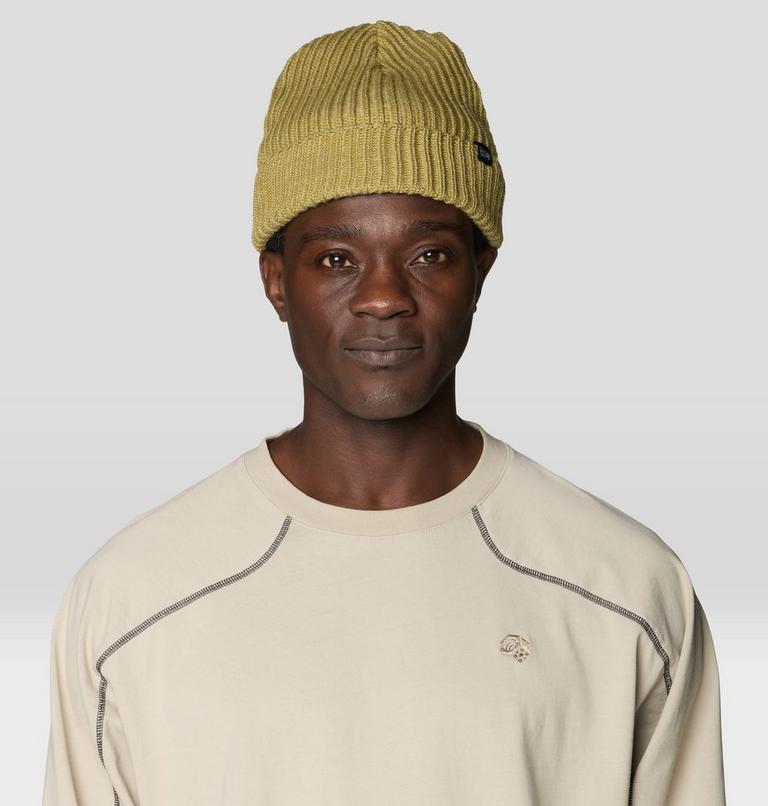 Lone Pine Beanie, Color: Forest Moss, image 1