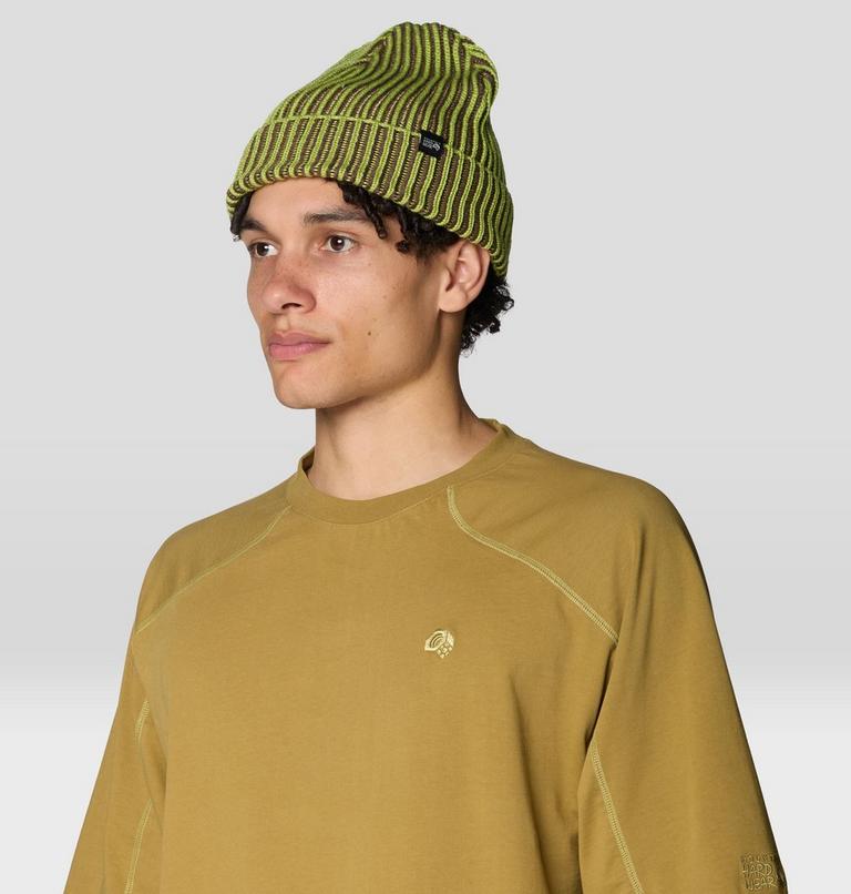 Lone Pine Beanie, Color: Bright Lichen, image 4