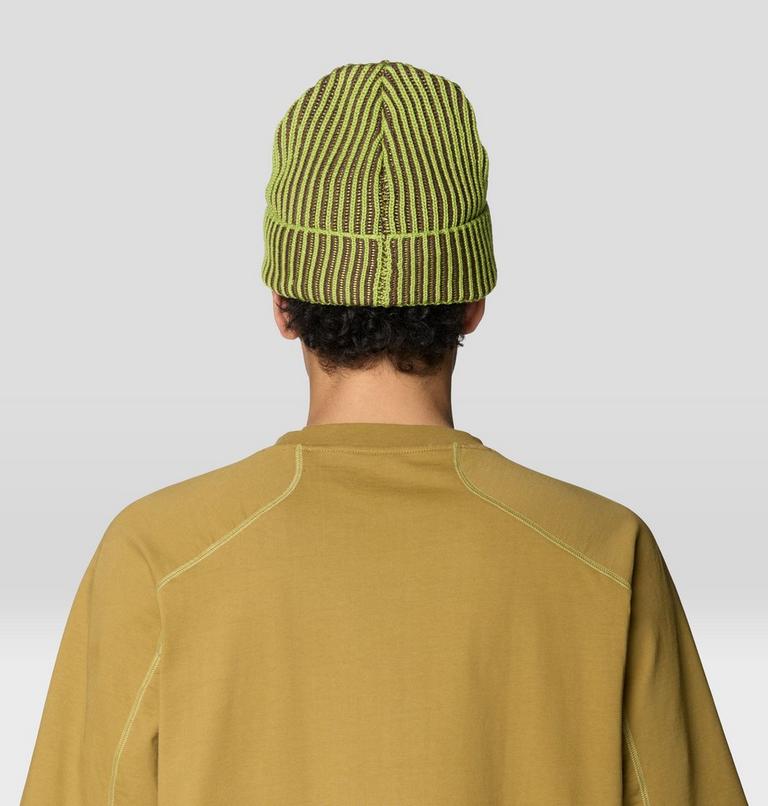 Lone Pine Beanie, Color: Bright Lichen, image 3