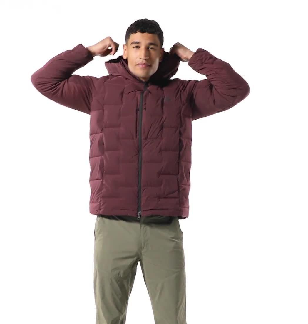 Stretchdown Parka | 629 | S, Color: Washed Raisin